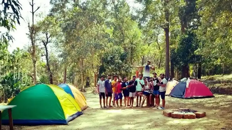 Dandeli Mango Mist gallery